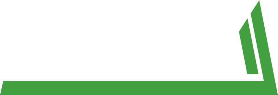 Logo Disandina con blanco